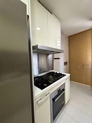 Residences @ Killiney (D9), Apartment #602743721